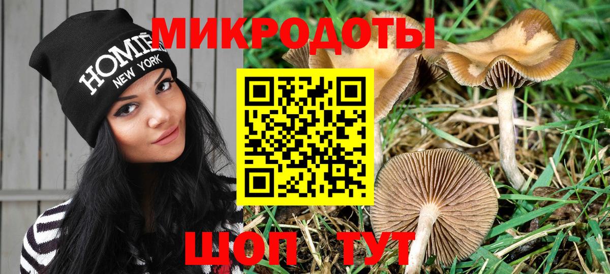 Галлюциногенные грибы Psilocybine cubensis  купить закладку  Жигулёвск  Вход с VPN 