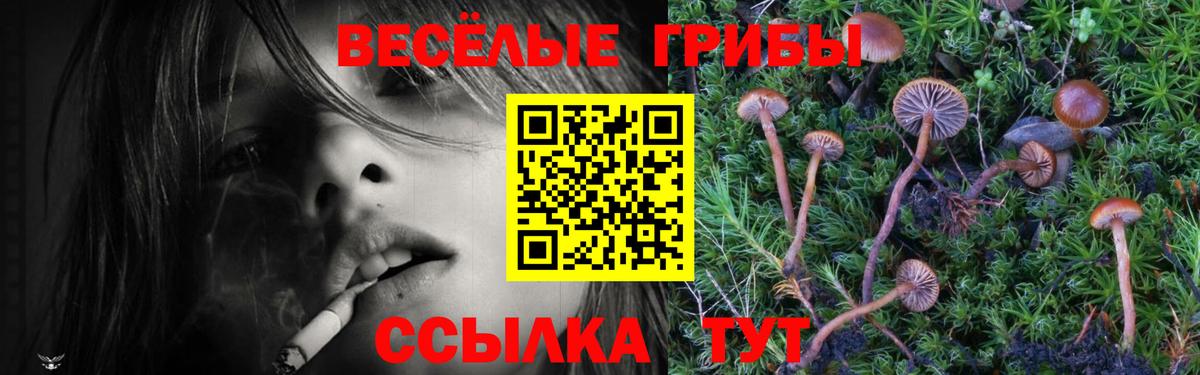 Галлюциногенные грибы ЛСД Жигулёвск